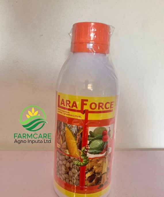 LaraForce 1L