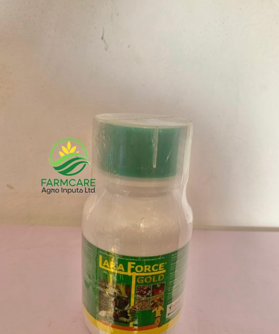 Lara Force Gold 250ml