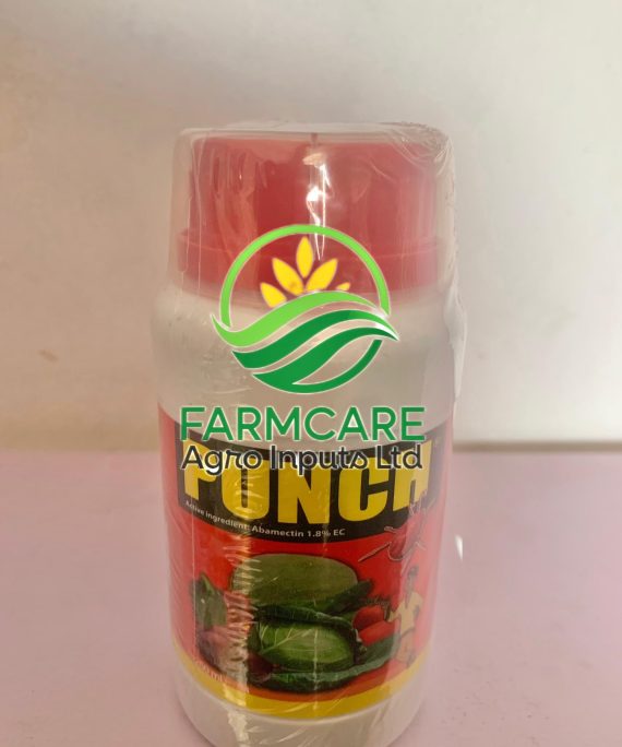 Punch 250ml