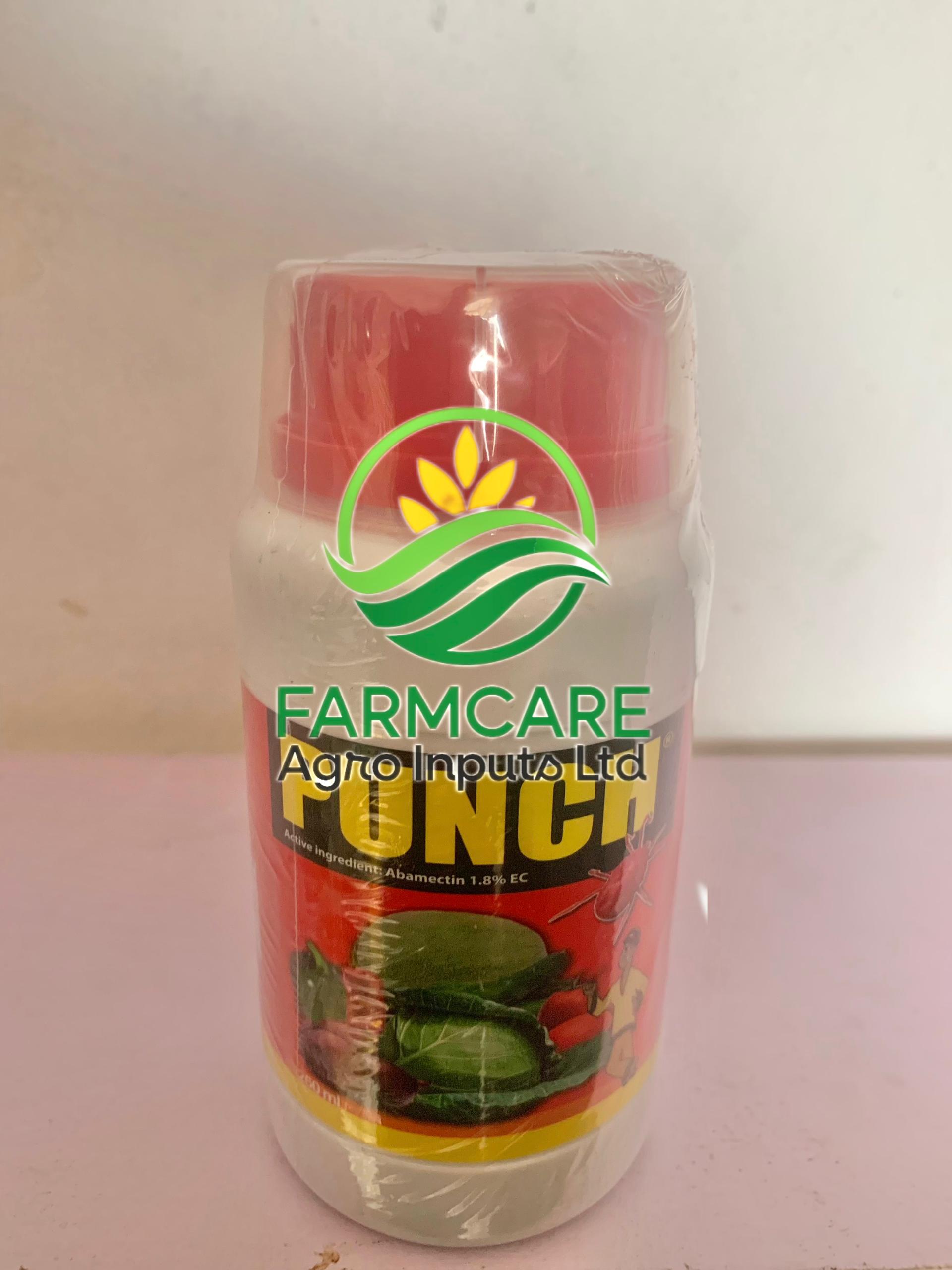 Punch 250ml