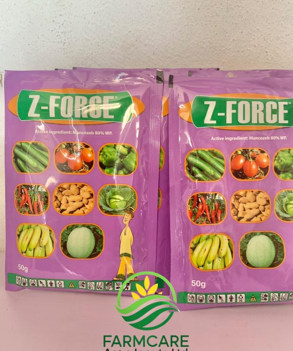 Z Force